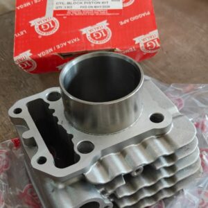 Cylinder Block Kit Bajaj Compact BS4/BS6